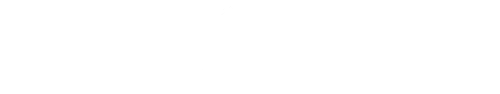 Neydin.com Beyaz Logo seffaf